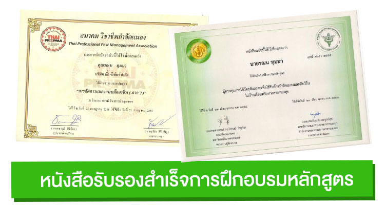 บริษัท บั๊กซีเนียร์ จำกัด หนังสือรับรองสำเร็จการฝึกอบรมหลักสูตร